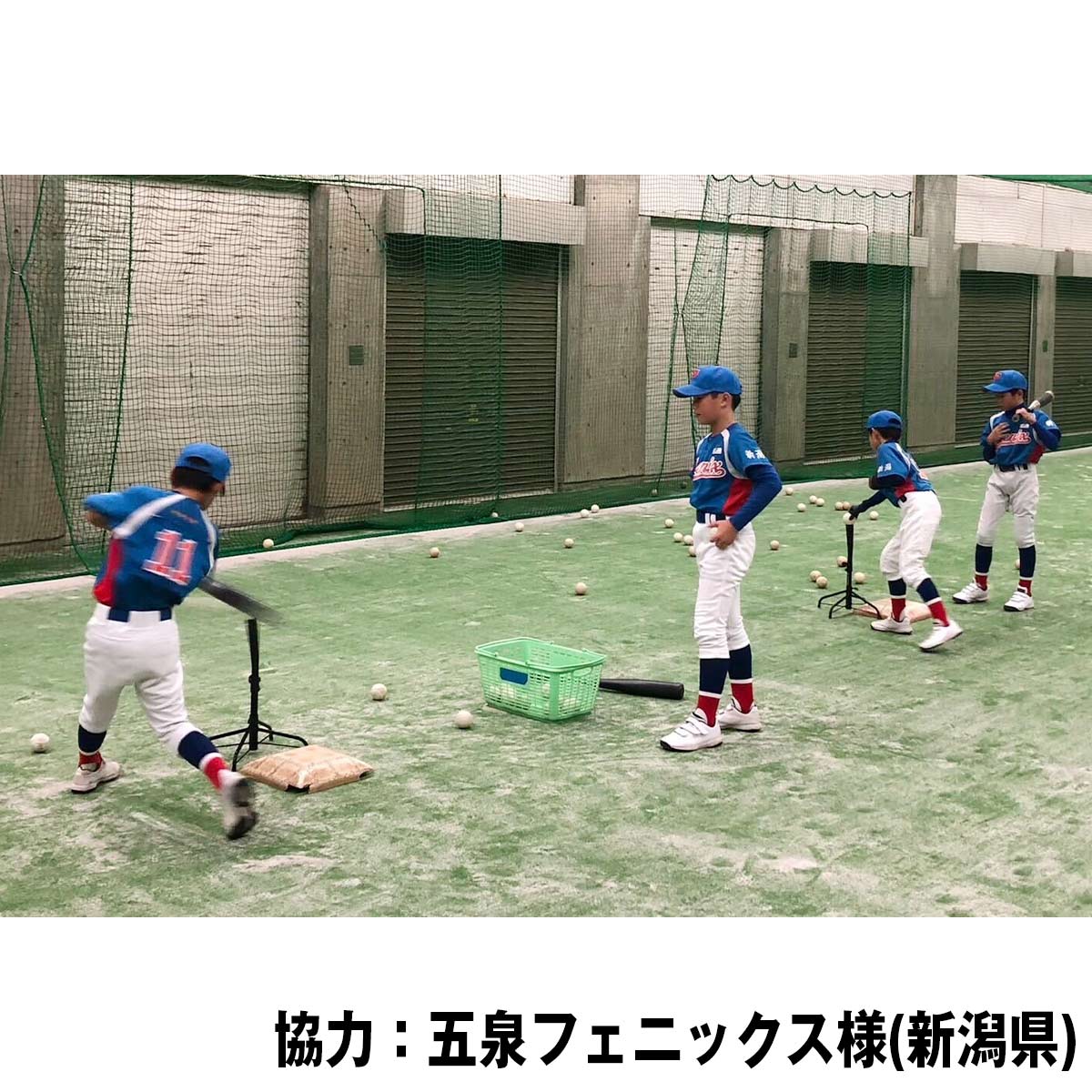 グリーンティースタンド|FBT-343