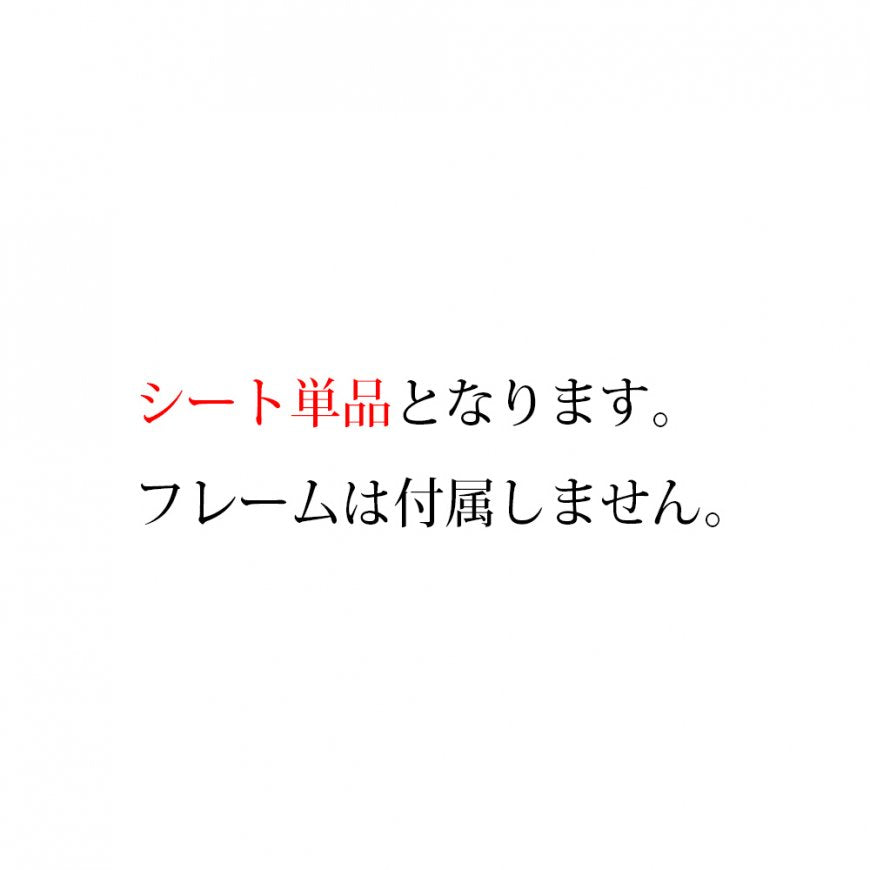 壁ネットシート|FKBS-130