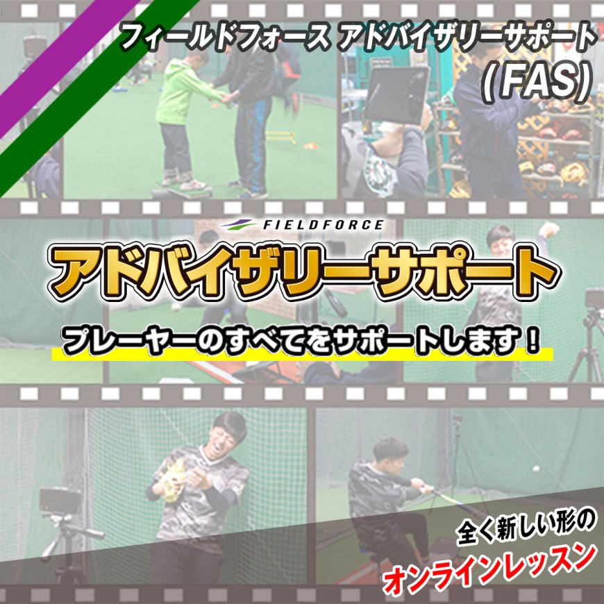 フィールドフォースアドバイザリーサポート(FAS)