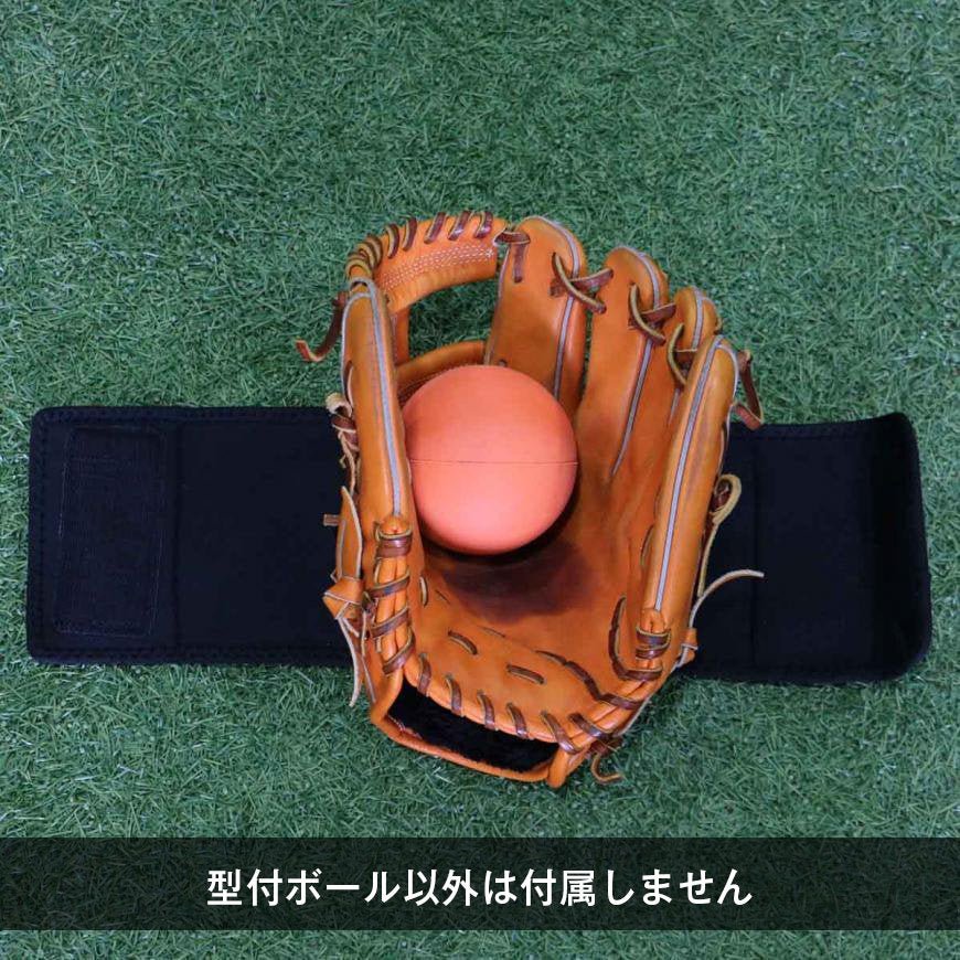 グラブ型付けボール|FGKB - 800