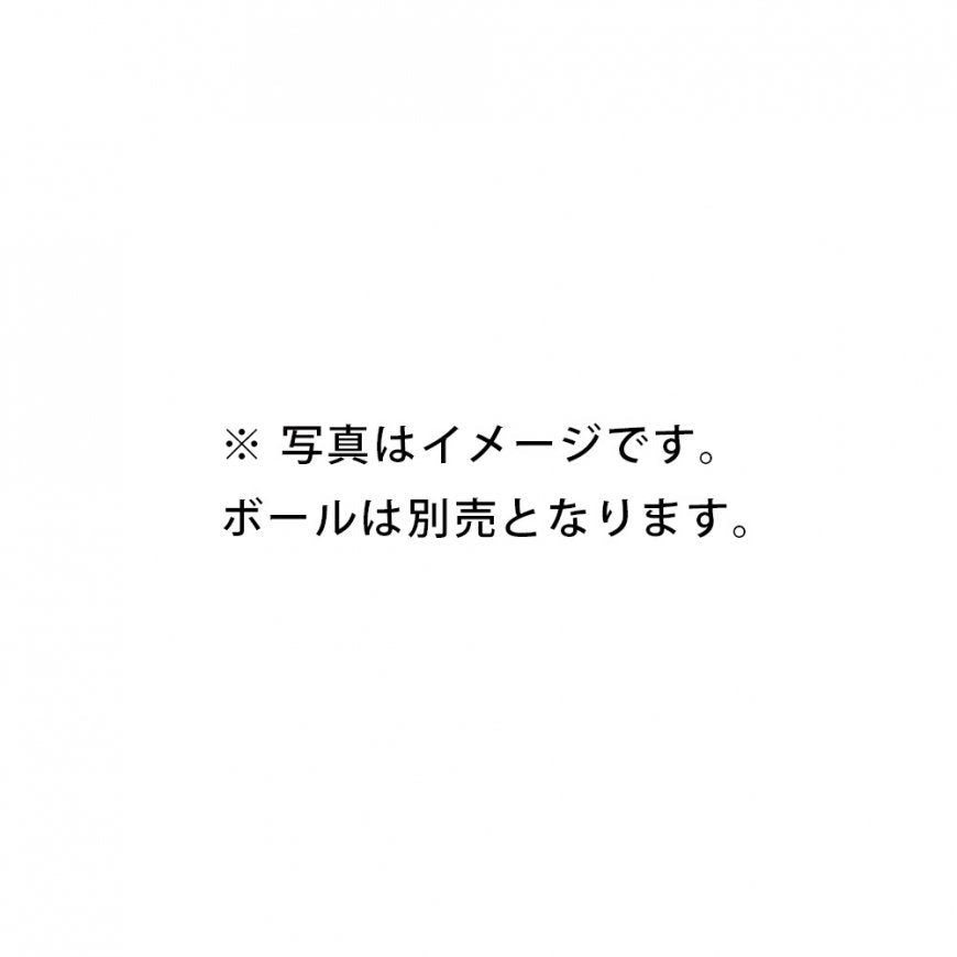 サインボールケース|FSC - 8080
