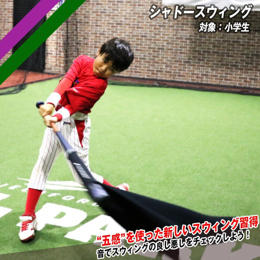 シャドースウィング｜FSDW - 6060S